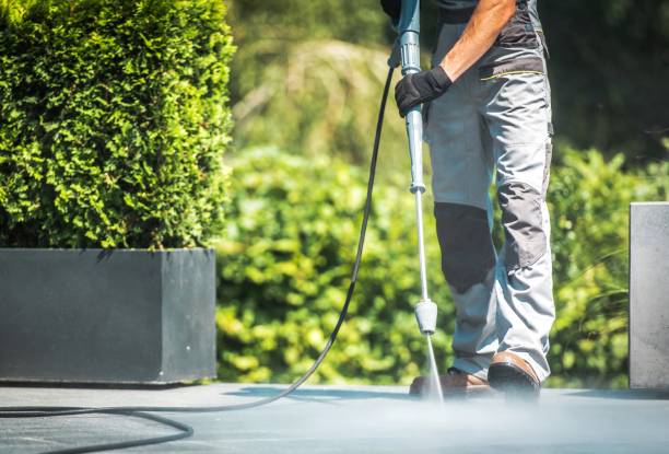Best Soft Washing  in Woodville, AL